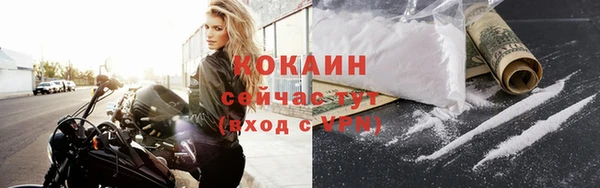 крисы Магадан