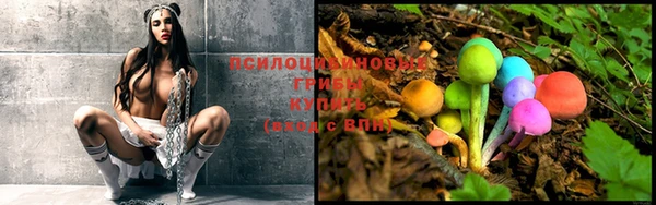 крисы Магадан