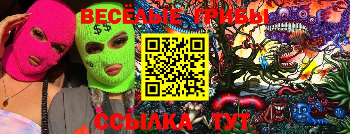 Галлюциногенные грибы мицелий  Вход с VPN  Псилоцибиновые грибы мухоморы  Елабуга 