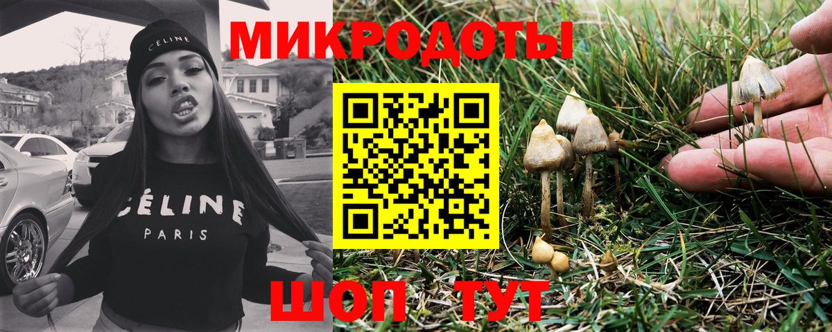 Галлюциногенные грибы мухоморы Елабуга