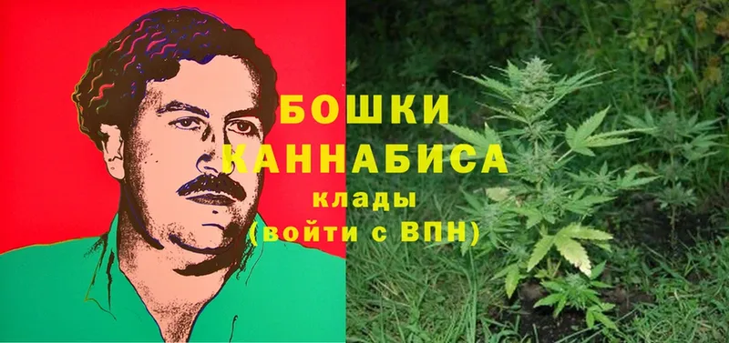 маркетплейс клад  Елабуга  Бошки марихуана SATIVA & INDICA 